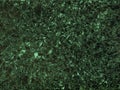 Natural texture background - malachite mineral gemstone close up Royalty Free Stock Photo