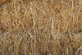 Natural texture of dry straw