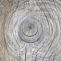 Natural texture of gray old pine board Royalty Free Stock Photo