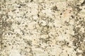 Natural texture of light-colored stone covered with variegated stains Royalty Free Stock Photo