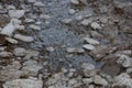 Natural texture of pieces of gray ice and muddy water in a puddle