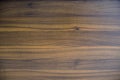 Natural texture of wood