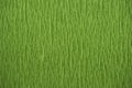 Natural textures green colors crepe paper 200 percent stretch Royalty Free Stock Photo