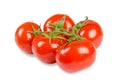 Natural tomatoes growing on a branch Royalty Free Stock Photo