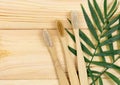 Natural toothbrushes with bamboo leaves on wooden table. Top view, flat lay. Sustainable lifestyle, Zero waste concept
