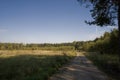 Natural tranquil landscape with road, green forest and blue sky Royalty Free Stock Photo