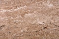Natural travertine background in brown color for your new stylish interior. High quality texture.