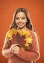 Natural treasures. Collecting leaves. Changes in nature. Cute happy smiling kid playing with leaves. Fall symbol. Happy