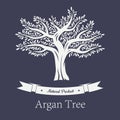 Natural tree with foliage, argania and argan plant Royalty Free Stock Photo