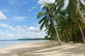 Natural Tropical beach with palm trees