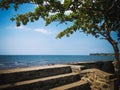 Natural Tropical Beach Shade Tree View At Beach Barrier And The Stairs On A Sunny Day At The Village