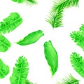 Natural Tropical Leaves. White Seamless Textile. Organic Pattern Painting. Green Drawing Illustration. Banana Leaf. Spring Leaves Royalty Free Stock Photo