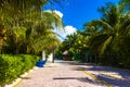 Natural tropical mexican caribbean beach entrance Playa del Carmen Mexico Royalty Free Stock Photo