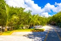 Natural tropical mexican caribbean beach entrance Playa del Carmen Mexico Royalty Free Stock Photo