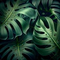 Natural Tropical Monstera Feaf Background. Generative AI Royalty Free Stock Photo