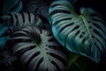 Natural Tropical Monstera Feaf Background. Generative AI Royalty Free Stock Photo