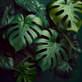 Natural Tropical Monstera Feaf Background. Generative AI Royalty Free Stock Photo