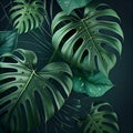 Natural Tropical Monstera Feaf Background. Generative AI Royalty Free Stock Photo