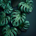 Natural Tropical Monstera Feaf Background. Generative AI Royalty Free Stock Photo