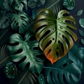 Natural Tropical Monstera Feaf Background. Generative AI Royalty Free Stock Photo