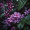 Natural Tropical Spring Flowers In Dreamy Purple Foliage Background Royalty Free Stock Photo