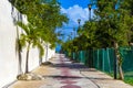 Natural tropical way walking path jungle nature palm trees Mexico