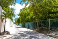 Natural tropical way walking path jungle nature palm trees Mexico