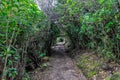 Natural tunnel in Abel Tasman National Park, New Zealand Royalty Free Stock Photo