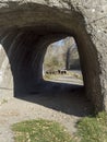 Natural tunnel on Doftana river valley