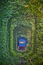 Natural tunnel of love formed by trees