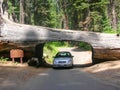 Natural tunnel