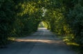 A natural tunnel of trees on a country road. Selective focus