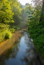 Natural Tuscan landscape with a river in the wood, at early morning in June 2019, Italy