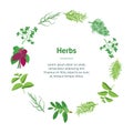 Herb Banner Card Circle Dill, Parsley, Basil, Mint, Rosemary, Laurel and Thyme. Vector