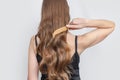 Natural undyed long hair. Woman combing her long hair with a comb, back view, isolated on gray Royalty Free Stock Photo