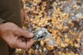 Natural unprocessed pieces of mica minerals in the hands of a man in a natural deposit