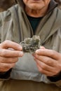 Natural unprocessed pieces of mica minerals in the hands of a man in a natural deposit