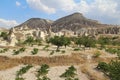 Natural valley with volcanic tuff stone rocks in Pasabag in Cappadocia, Turkey.