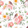 Natural vector seamless pattern with cute robin birds Royalty Free Stock Photo