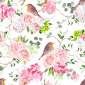 Natural vector seamless watercolor pattern with cute robin Royalty Free Stock Photo