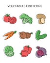 Natural vegetables. set of vector icons in flat style