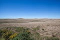 Natural Vegetation of Campos de Vacaria - Brazil