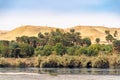 The natural vegetation with Palm trees and greenery on the banks of the River Nile in Egypt Royalty Free Stock Photo