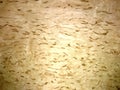Natural veneer from Birch wood Karelian Royalty Free Stock Photo