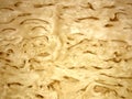 Natural veneer from Birch wood Karelian Royalty Free Stock Photo