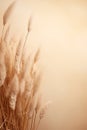 Natural vertical background with pampas grass. Dried soft plants, Cortaderia selloana. Dry grass, boho style. Pastel