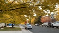 Natural view of autumnal trees on the side of the road in Highlands Ranch, Colorado, USA