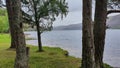 Natural view of calm lake and green field in Loch, Scotland