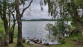 Natural view of calm lake and green field in Loch, Scotland