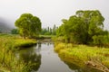 Natural view of a calm river with reflection of trees, grass and sky on the surface Royalty Free Stock Photo